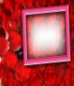 Foto de cartão para os amantes, fundo rosa e moldura rosa