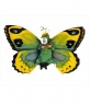 Fantasia borboleta para crianças.