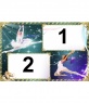 Quadro de duas fotos de ballet