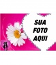 Margarita e coração moldura com fundo rosa para colocar sua imagem de fundo