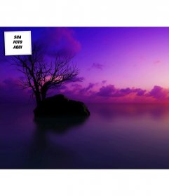 Sunset Twitter Background