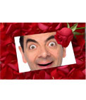 Coloque uma imagem em uma carta de amor com uma rosa fundo rosa pétala