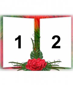 Elegante montagem de duas fotos em uma moldura de verde e vermelho desenhos de flor