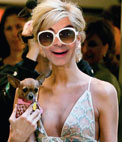 Foto efeito para colocar seu rosto no corpo de Paris Hilton com seu chihuahua