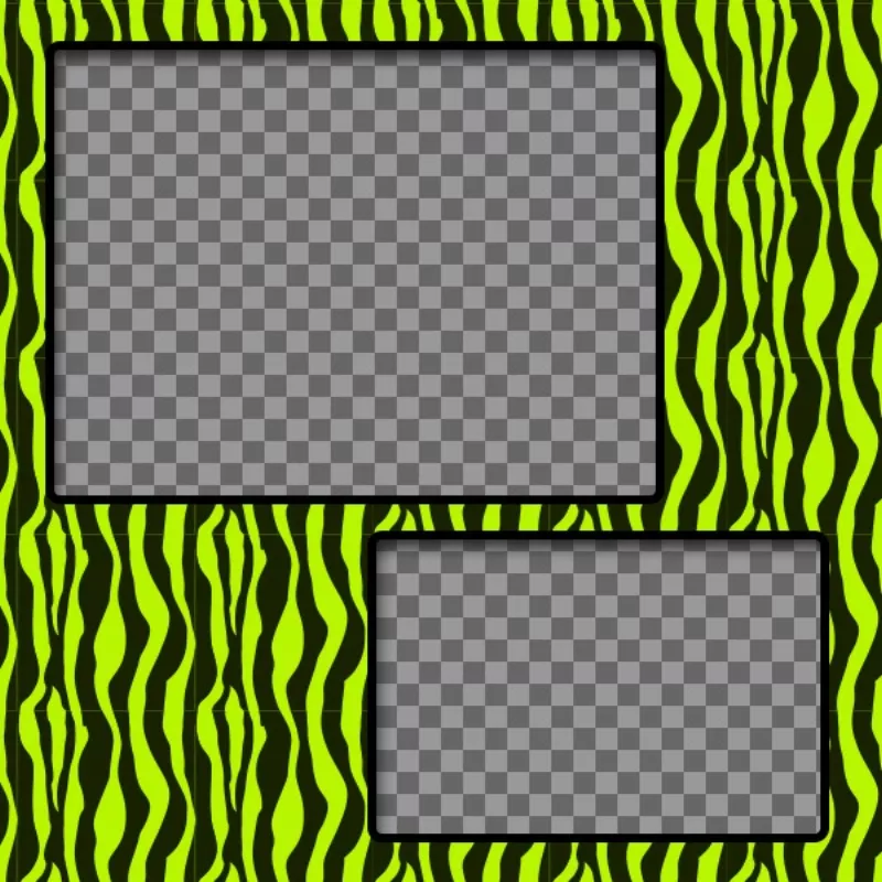 Criar uma colagem com o verde e amarelo modelado zebra e duas fotos..