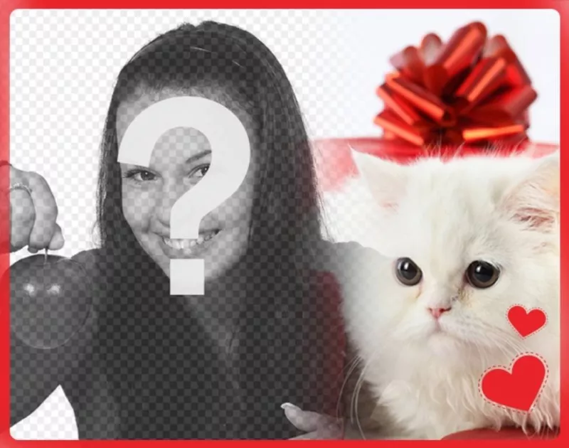 Cartão romântico com gatinho persa branco com o coração na frente de uma caixa de presente ea foto que você enviar..