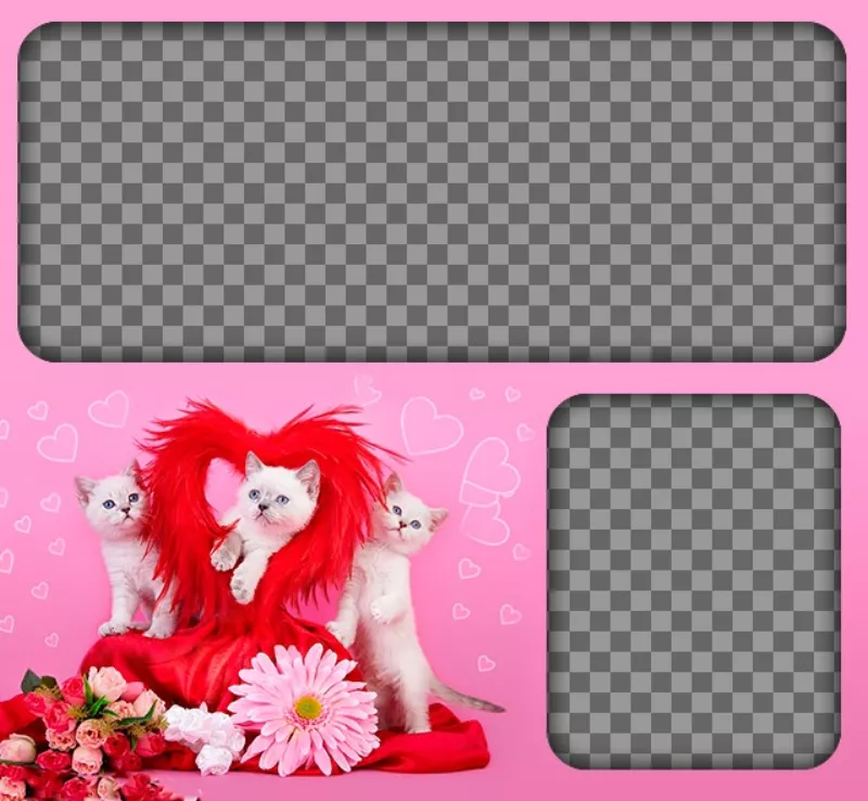 Fotomontagem romântico com gatinhos e corações com um fundo rosa para colocar duas imagens de amor. ..