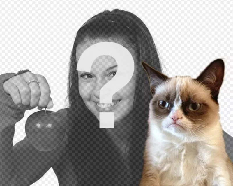 Fotomontagem com gato Grumpry, meme que se tornou famoso em toda a..