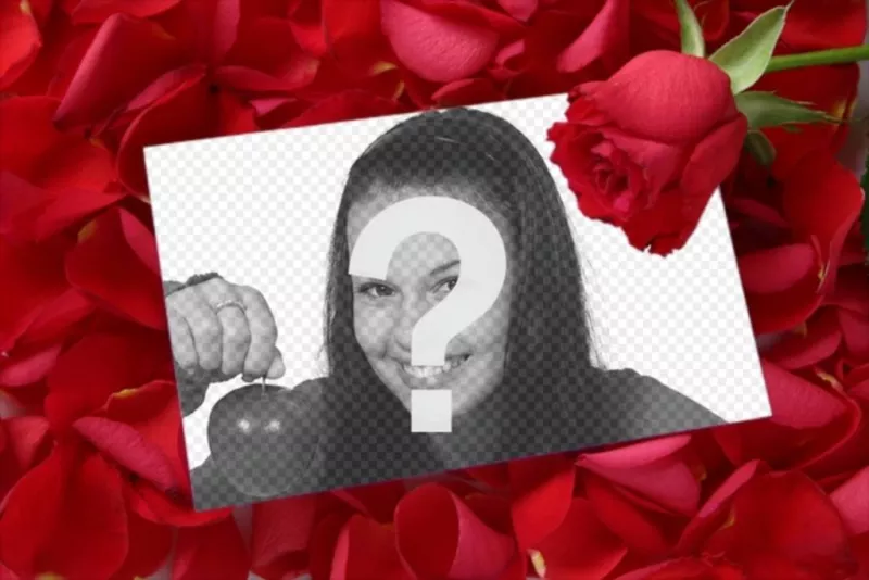 Coloque uma imagem em uma carta de amor com uma rosa fundo rosa pétala. Para complementar o presente do Valentim, um cartão que você pode imprimir ou enviar e-mail. Amar um detalhe memória durar a..