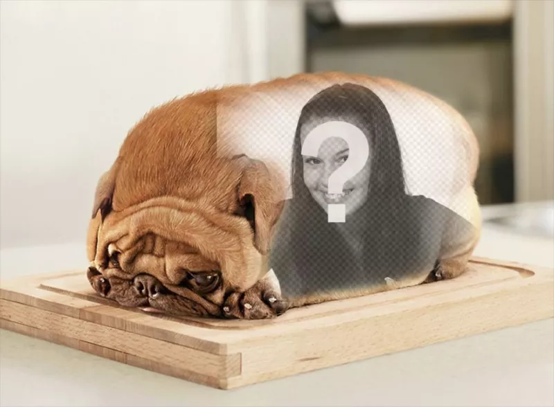 Dog pão em forma com a parte traseira para colocar as suas fotografias. Dog ..
