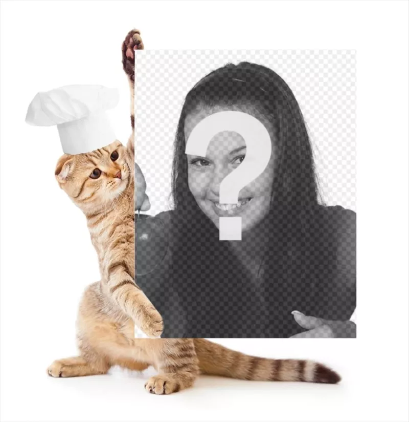 Fotomontagem com um gato vestido de cozinheiro segurando sua foto. ..
