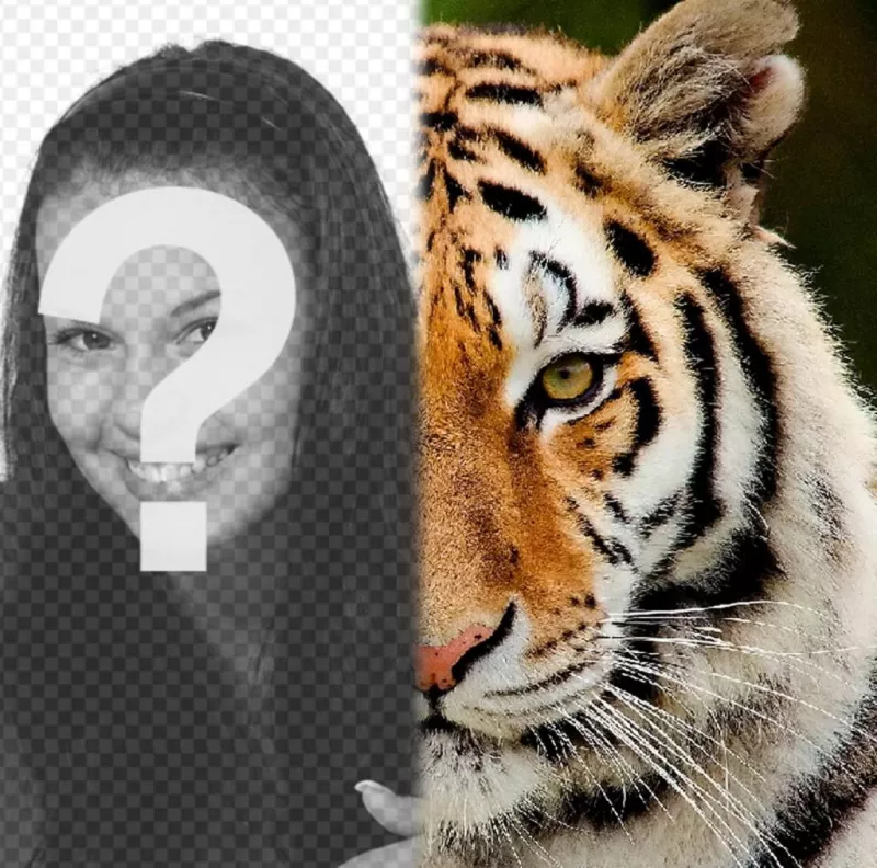 Fotomontagem para ter metade de seu rosto como um tigre. ..