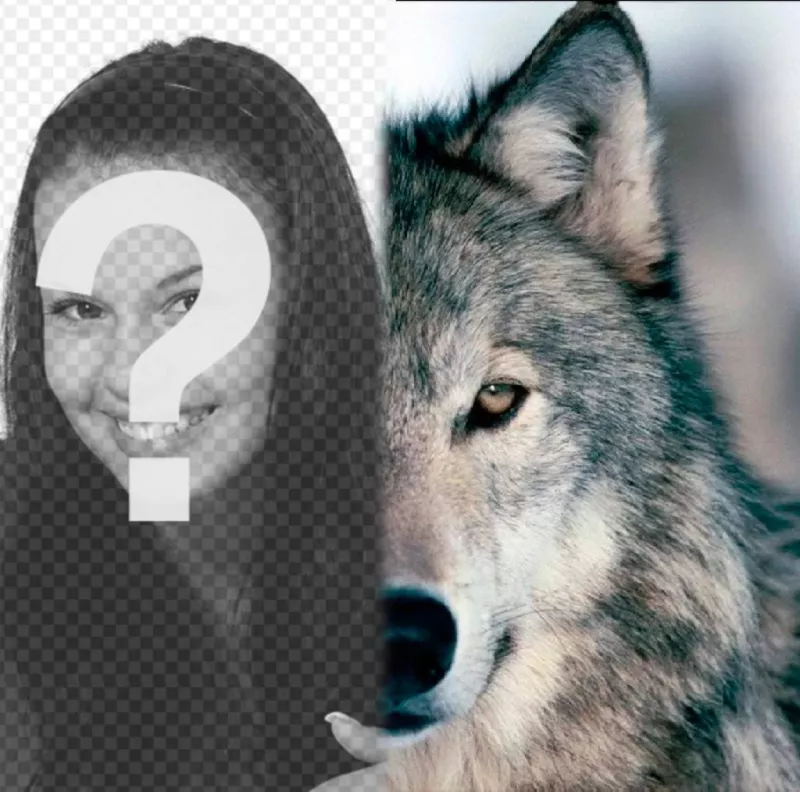Fotomontagem para colocar um rosto lobo ao seu lado, completando a sua metade. ..