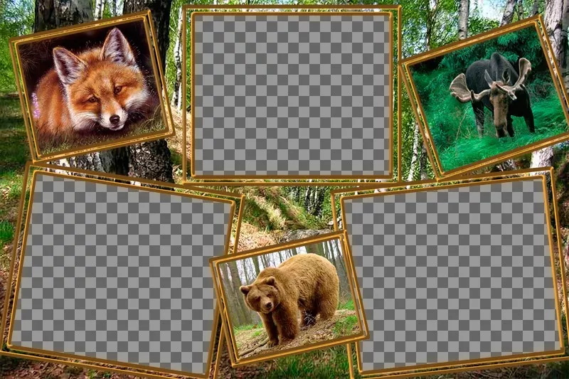 Colagem de animais para editar com três fotos de si mesmo. ..