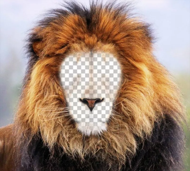 Fotomontagem de um leão para colocar seu rosto online ..