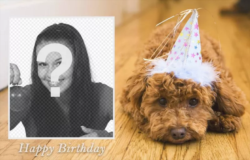 Efeito da foto do aniversário com um cão para seu ..