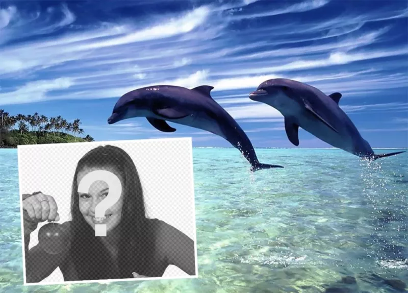 Postal de férias para editar com a sua foto e adicioná-lo com dois golfinhos ..
