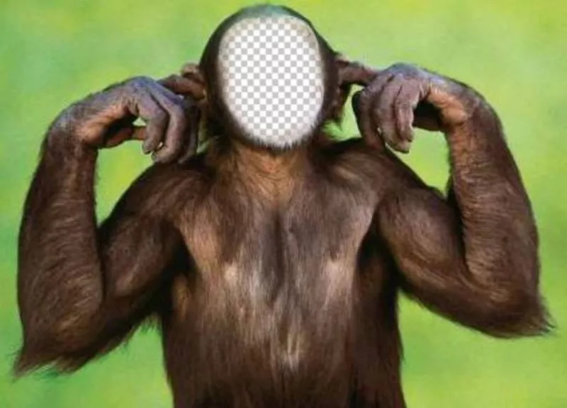 Fotomontagem de macaco que não ouve editar com sua foto ..