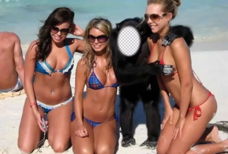 Criar esta fotomontagem ser um macaco com três meninas no swimsuit ..