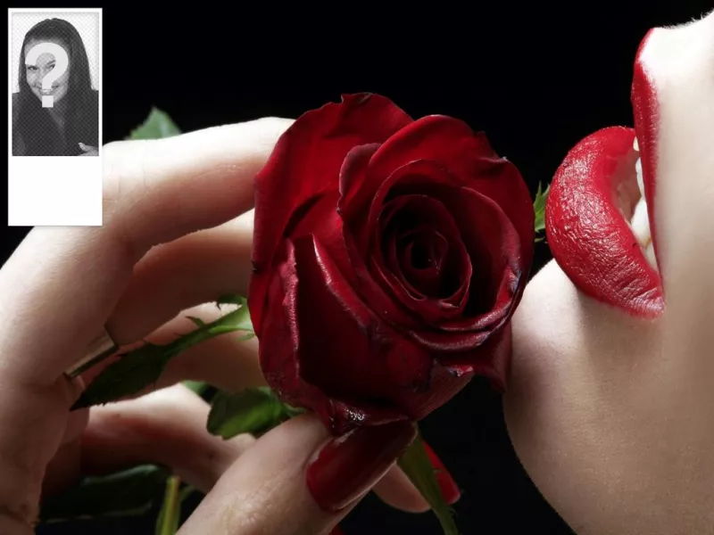 Fundo romântico para o Twitter com uma rosa vermelha. Personalizável com sua própria..