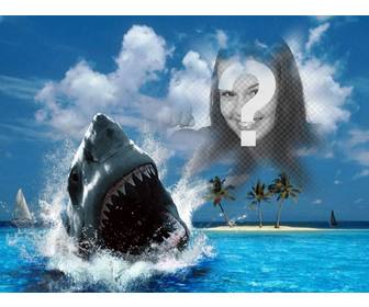 Fotomontagem de um tubarão morde sua foto