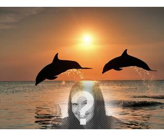 Colagem com sua fotografia e golfinhos pulando no mar.