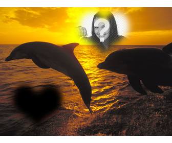 colagem duas fotos em forma coracão e golfinhos saltando