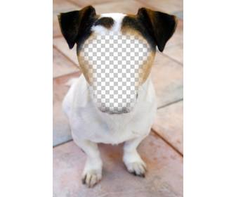 fotomontagem um cão onde voce pode colocar seu rosto e graca