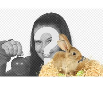 fotomontagem com um coelho e ovos pascoa adicionar as suas fotos online e gratuito