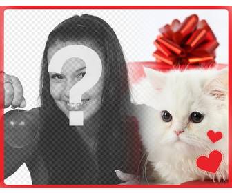 cartão romantico com gatinho persa branco com o coracão na frente uma caixa presente ea foto voce enviar online