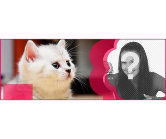 personalizado facebook cobrir com um gato branco e uma flor rosa colocar sua foto eo texto voce quer