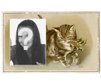 cartão natal do vintage com gato marrom desenhado com um azevinho na boca e uma caixa colocar uma fotografia