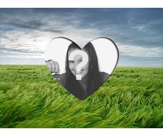 amor lightframe colocar um coracão romantico imagem moldada em uma paisagem com campo trigo verde e ceu azul
