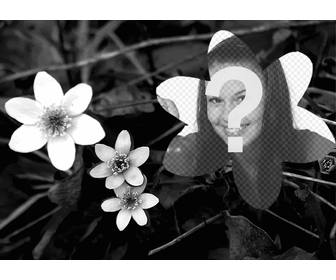 colagem com uma foto flores em preto e branco e uma foto enviada voce em forma flor tambem