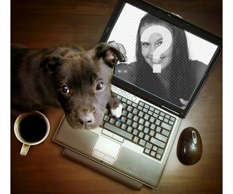 colagem com um cachorro jogando em um computador onde voce pode colocar sua fotografia