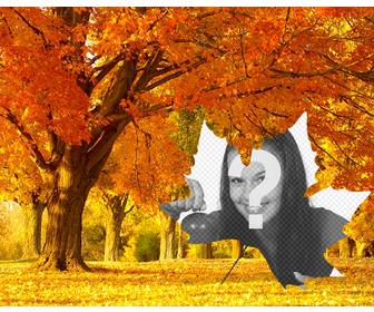 colagem da foto outono com um fundo arvores e uma folha em forma quadro faca suas fotos