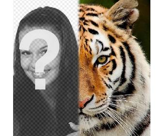 fotomontagem ter metade seu rosto um tigre