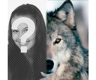 fotomontagem colocar um rosto lobo ao seu lado completando sua metade