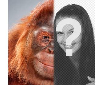 fotomontagem com metade do seu rosto transformou em um orangotango