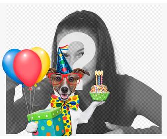 efeito da foto um cão com bolo e balões aniversario
