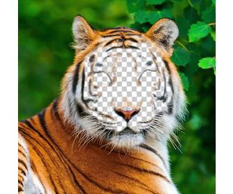 fotomontagem um tigre enviar sua foto em seu rosto