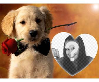 envie sua foto o efeito com um cão gentil e uma rosa