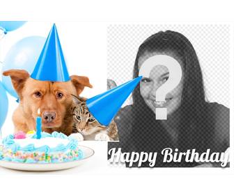 cartão aniversario doce com um cão e um gato uma foto