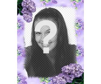 flores violetas decorar suas fotos com quadro