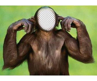 fotomontagem macaco não ouve editar com sua foto