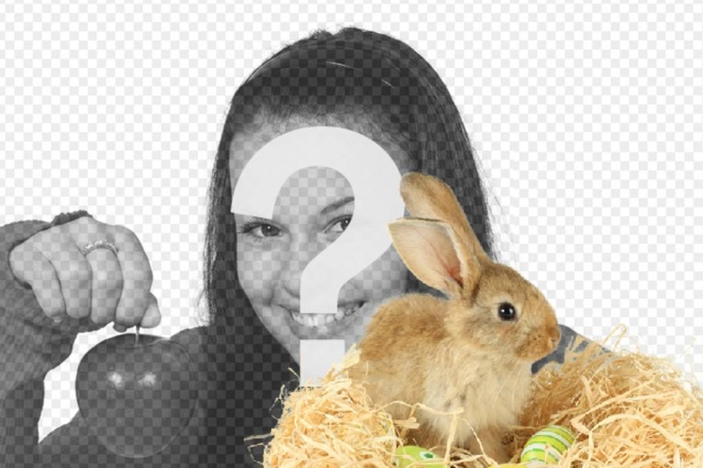 Fotomontagem com um coelho e ovos de páscoa para adicionar às suas fotos online e..
