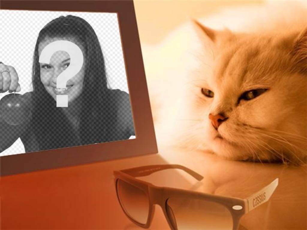Fotomontagem de um gato entediado vendo sua foto em que você coloca a imagem que você..