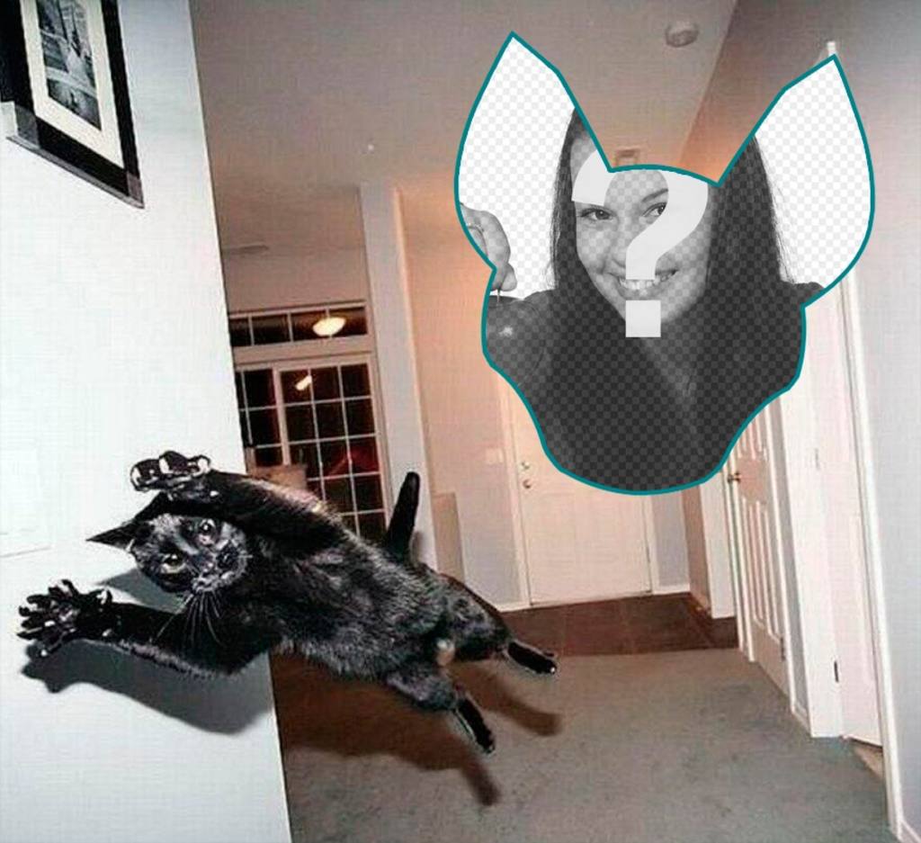Fotomontagem com um gato pulando, como se fosse uma explosão. ..