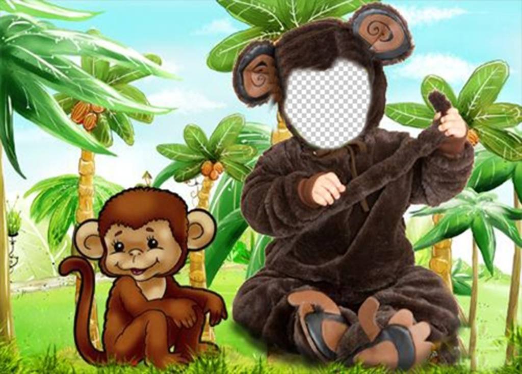 Monkey fantasia para crianças que você pode colocar uma foto ..