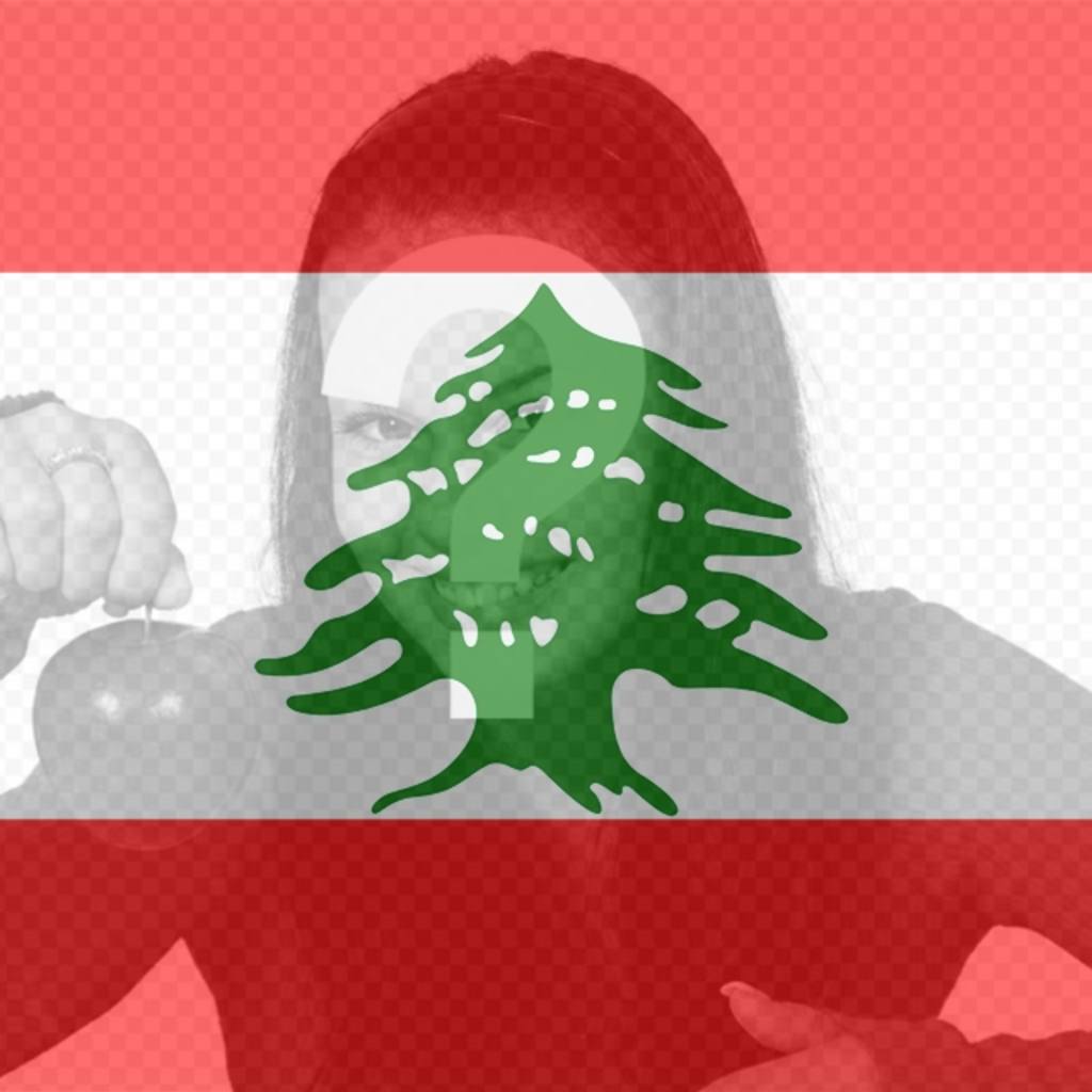 Bandeira do Líbano para colocar em sua imagem de perfil de rede..